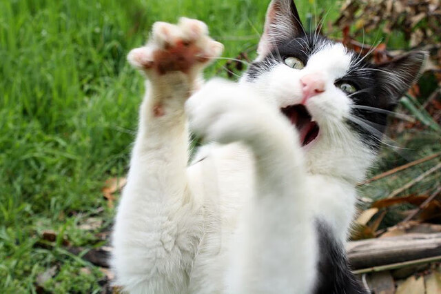 九游app官网下载-“精品助攻：让人叹为观止的精彩传球”，足球精彩传球