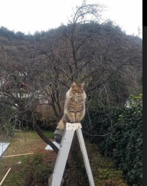 传统民族戏剧与体育结合巡演，文化展现新篇章，民族传统体育中包含的戏剧特征