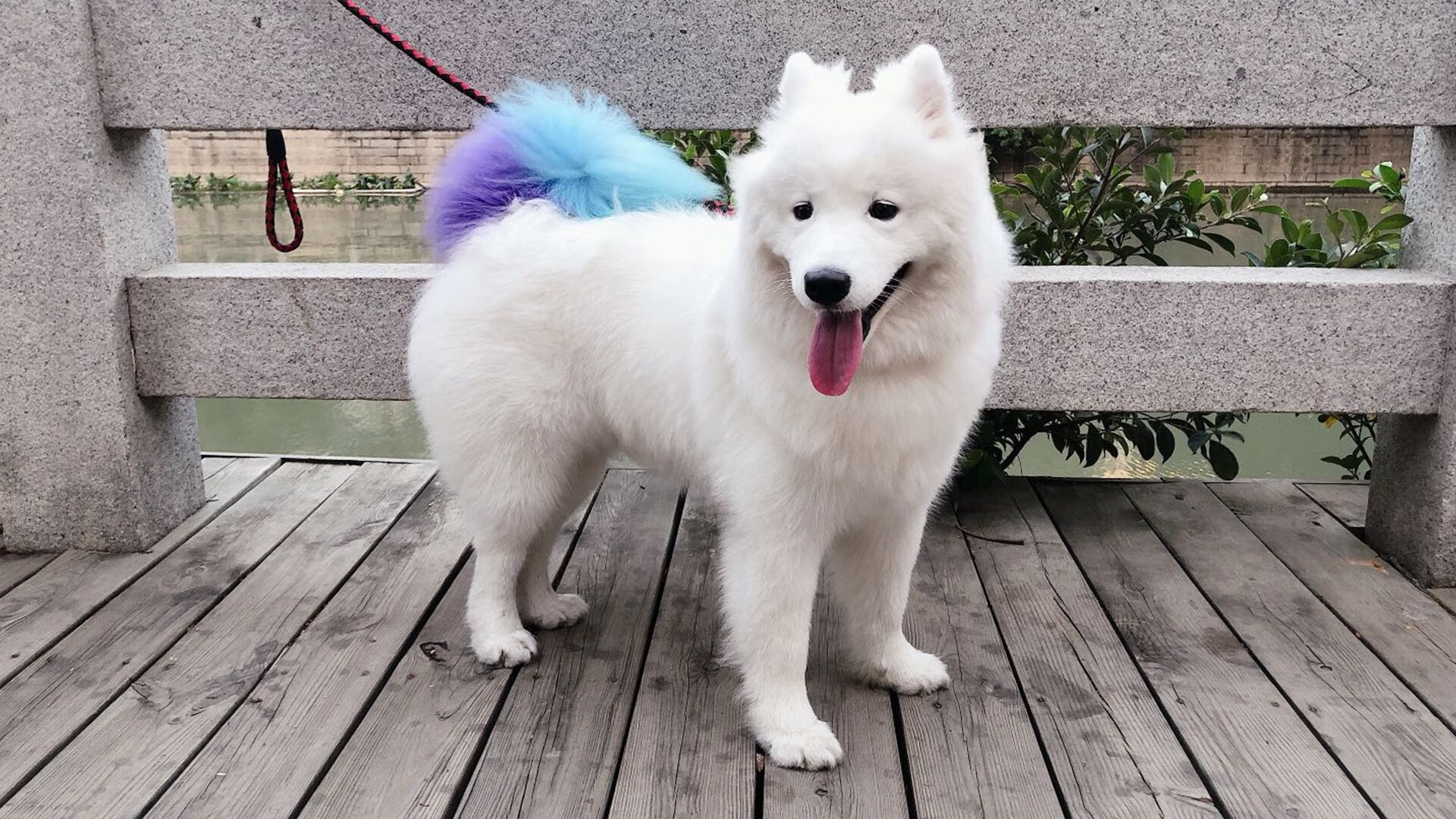 史上最“炸裂”的逆转瞬间，谁能再现奇迹？，最惊人的大逆转