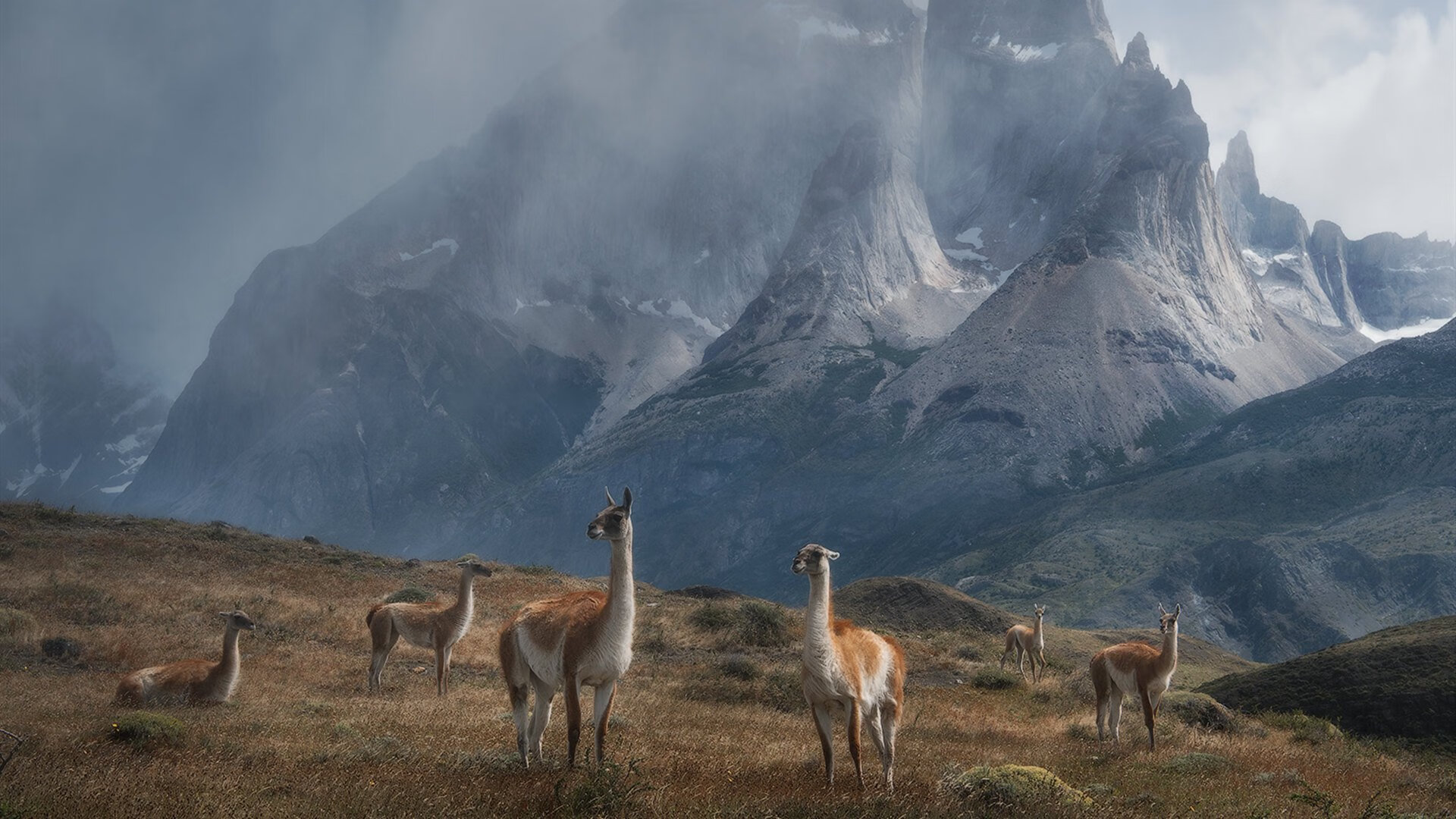 塞内加尔骑手马马杜·巴在非洲马术锦标赛上首次亮相即夺得障碍赛银牌，表现出色。