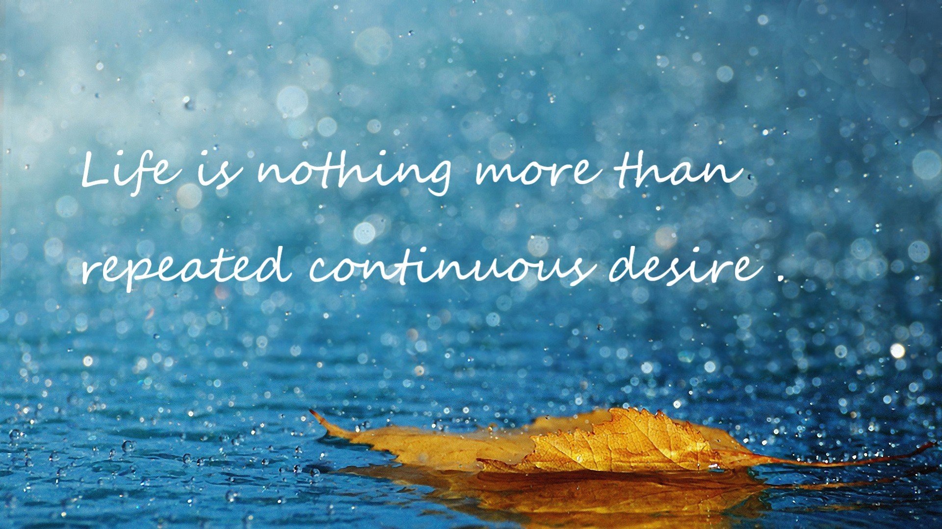 九游游戏中心-TL冲击世界赛席位，mdi冲层赛决赛