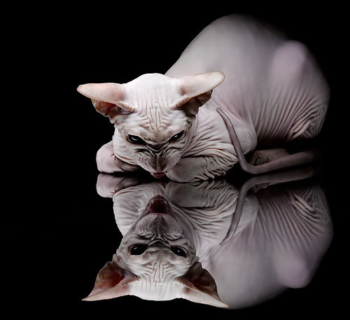 九游娱乐(jiuyou)官方网站-中国篮球运动场馆建设，中国篮球运动场馆建设情况