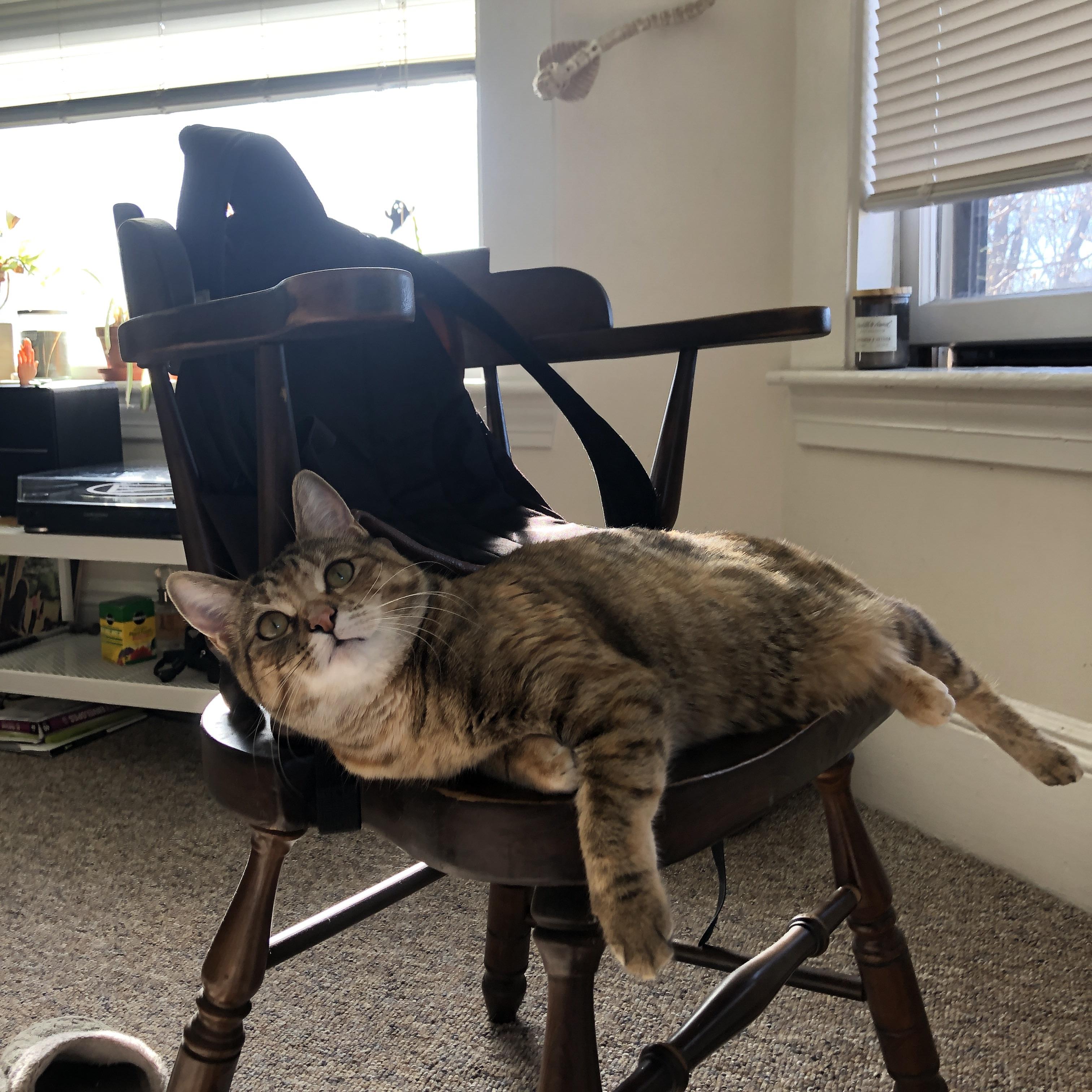 伊朗踢“冰上短传渗透”，欧洲队全程跟不上