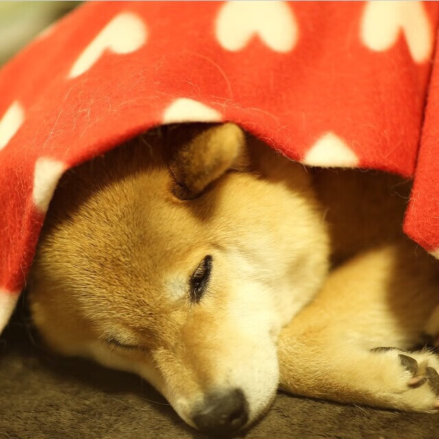 巴西女足逆转瑞典，玛塔伤愈复出闪耀赛，巴西 女足