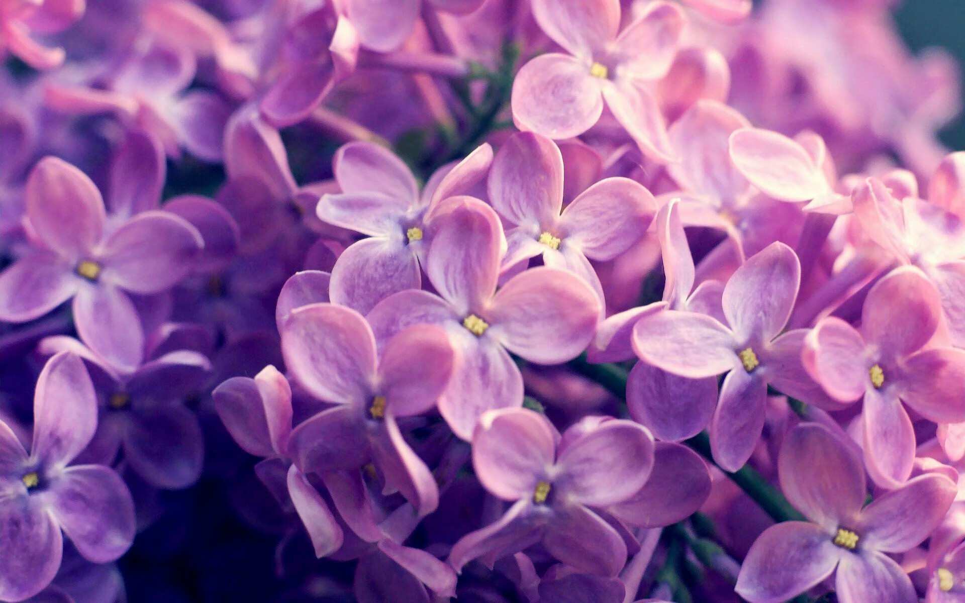 皇马后卫状态回升,防线整体表现稳定,皇马后卫历史后卫