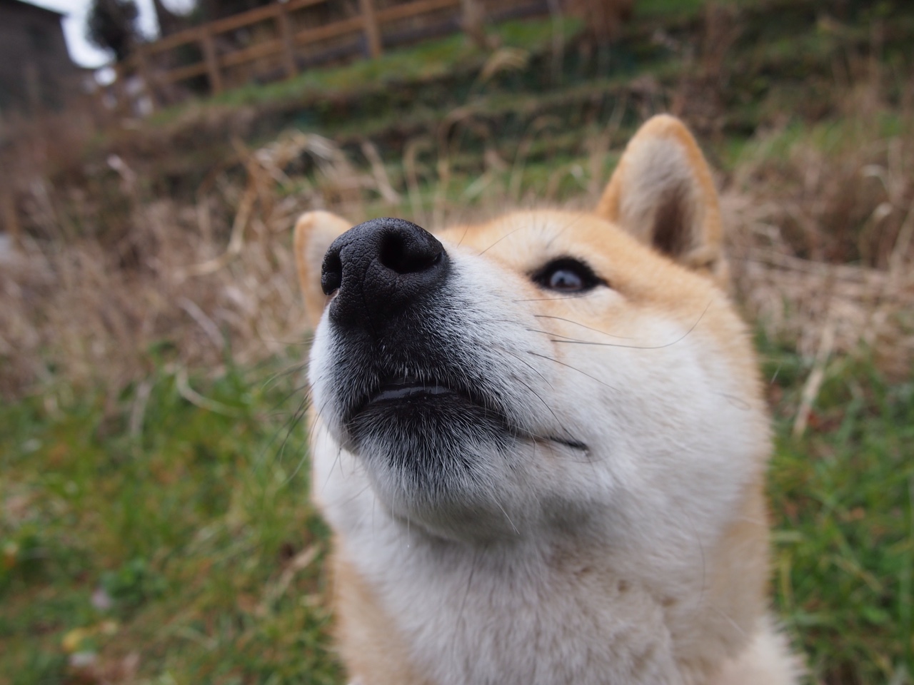 中小学体育课程多样化发展，中小学体育课程开展现状
