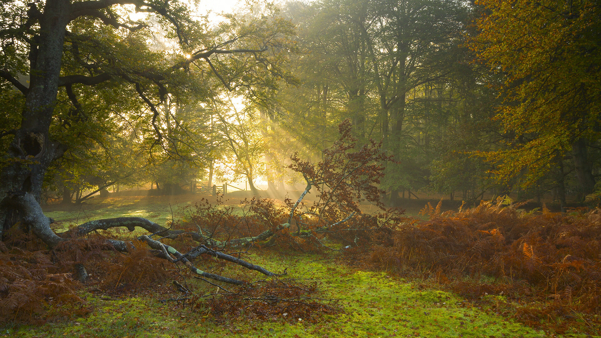 九游网页版官网-体育场馆安全设施升级方案，体育场馆安全设施升级方案及措施