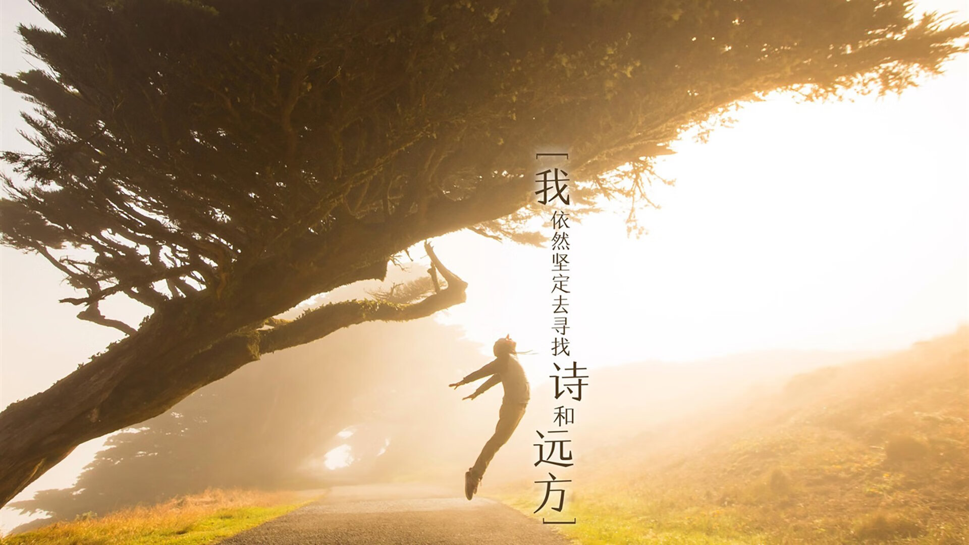 东京奥运会后中国体操队重建计划公布，东京奥运会中国体操队获奖情况