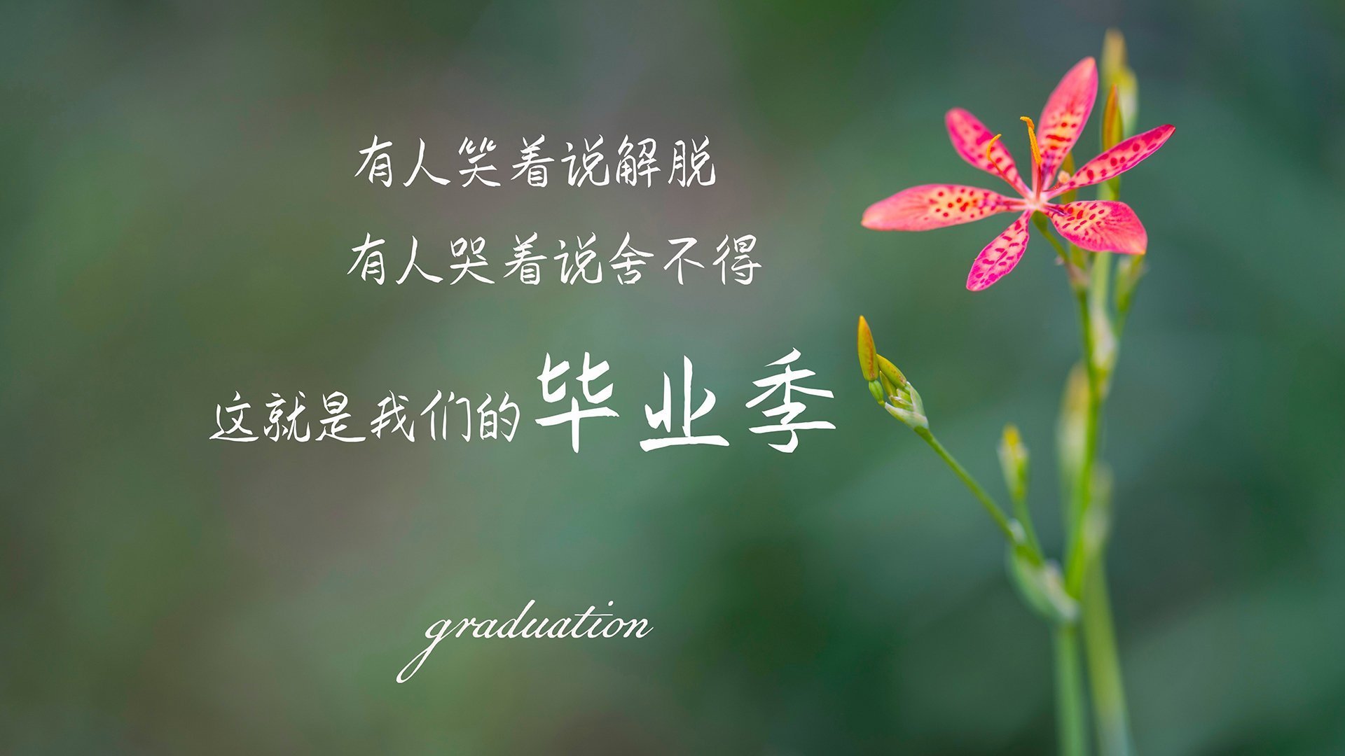 五大联赛防守转进攻时间是否成为破局关键，五大联赛进球