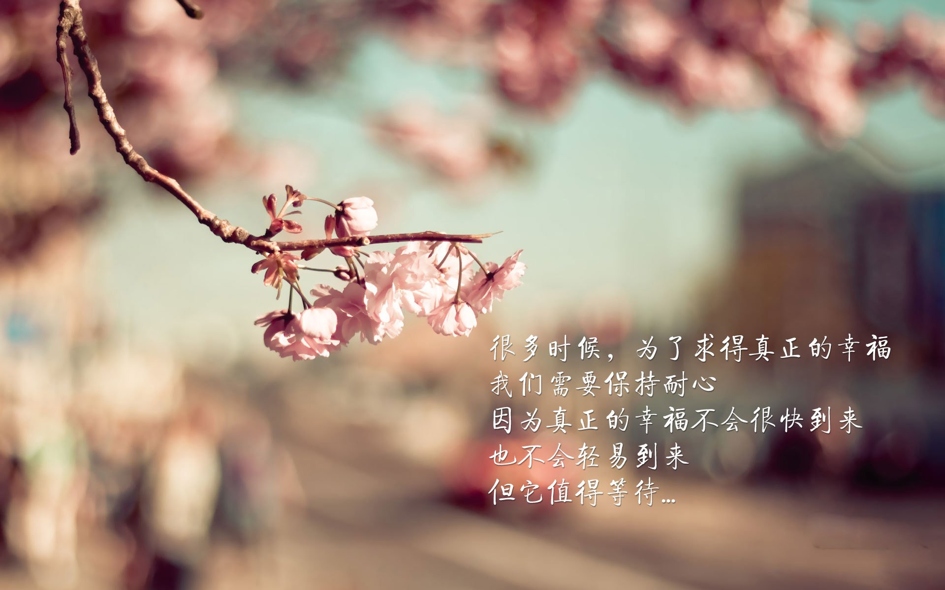 智能机器人训练助力乒乓球选手提高反应速度，机器人辅助乒乓球运动员进行训练