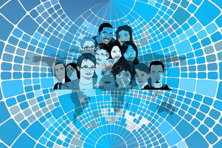 九游娱乐官网 (jiuyou)-美国队赛制分析：赛制中的人员调整与战术变化，美国队训练赛