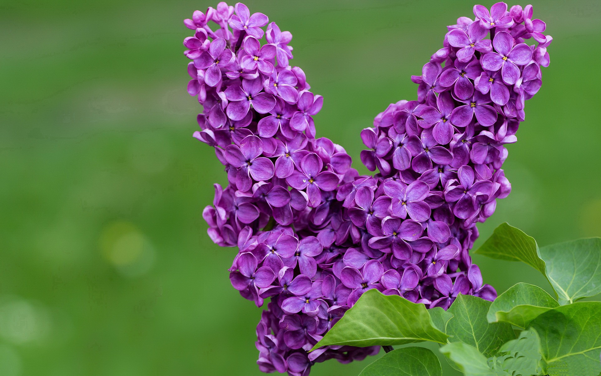 运动员心理健康关注度提升，运动员心理健康关注度提升方法
