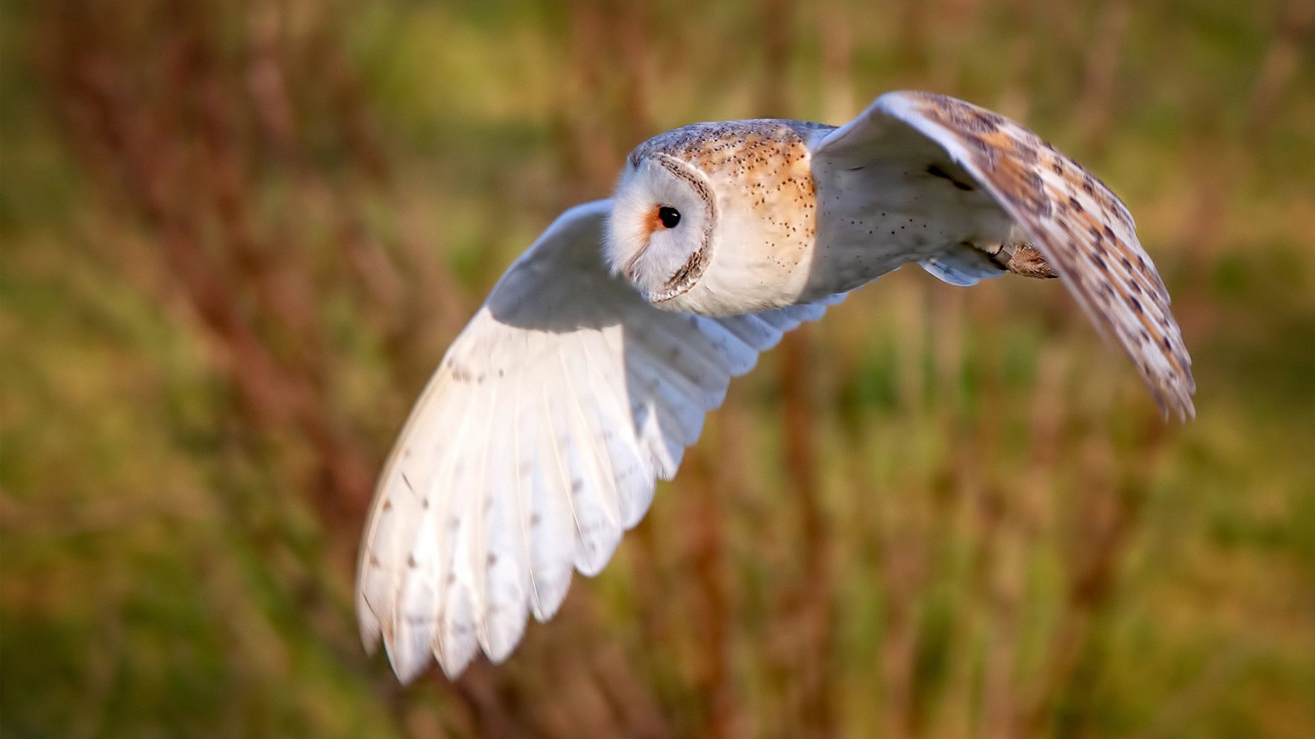 门将脚下技术是否直接影响整队控球稳定性，门将下地