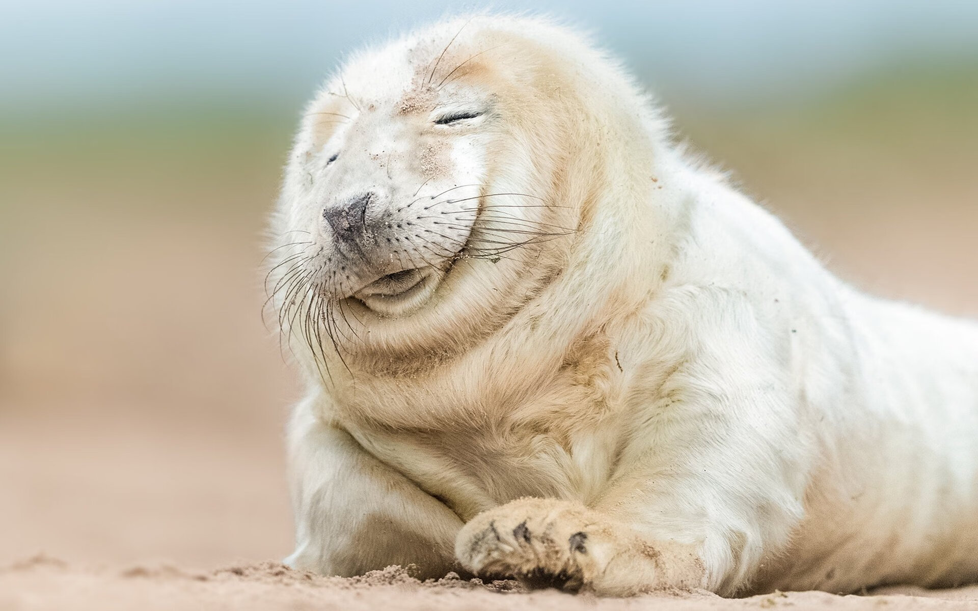 世界杯激情岁月：精彩片段，永世铭记！，最激情的世界杯歌曲是哪首