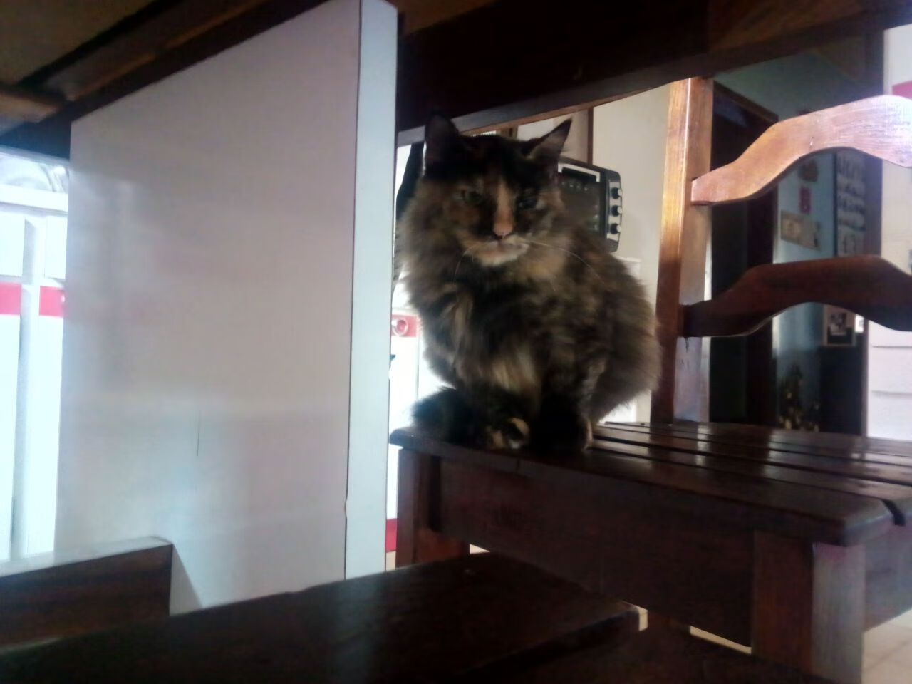 九游app官网下载-国际足球界推出新比赛规则，增强比赛观赏性和公平性，对于国际足球的赛事比赛球必须有什么标志